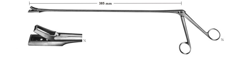 Biopsy forceps for rectum